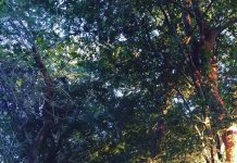 ¡Siempre avanzando de a poco!